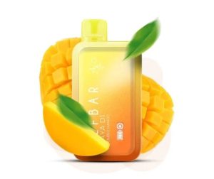 Elfbar RAYA D1 Double Mango - Flash Sale Ahmedabad
